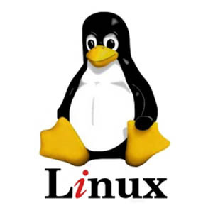 einfachste Version von Linux