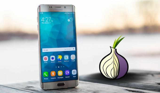 Das Tor-Logo ist neben einem Samsung-Smartphone zu sehen 