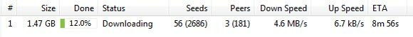wie man Torrent-Downloads beschleunigt