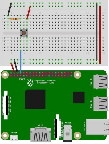 Pi-Button-Verbindung