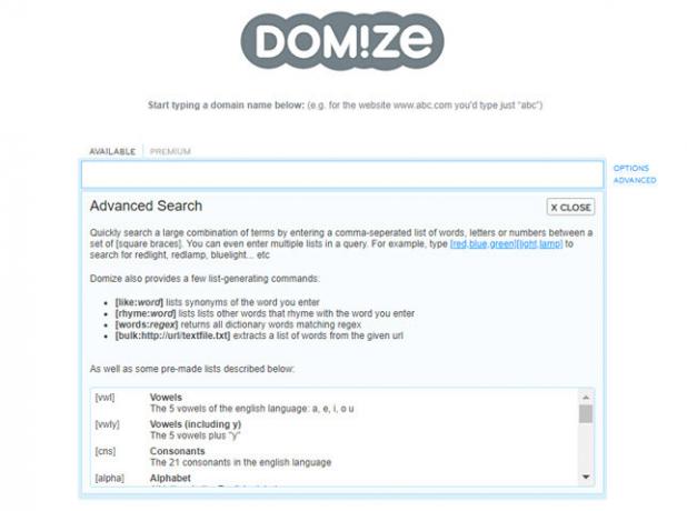 Domize Domain Name Search Website