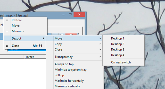 Dexpot-Move-Fenster