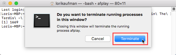 Klicken Sie für einen Prozess in einem Terminalfenster auf dem Mac auf Beenden