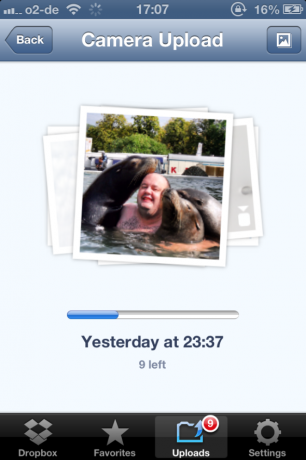 Dropbox - Eine der unverzichtbaren Apps, wenn Sie eine iPhone-Dropbox-Kamera besitzen