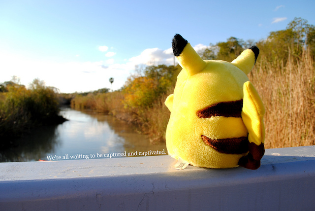 Pikachu sitzt auf einer Schiene, die in die Natur schaut