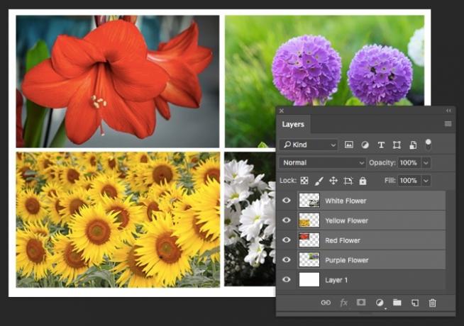 Photoshop CC 2018 Vier Ebenen